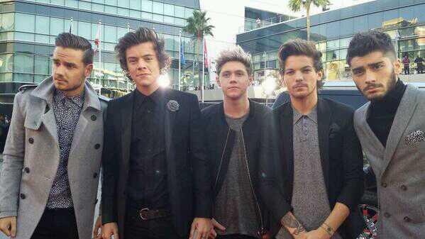 One Direction at the 2013 AMA Red Carpet